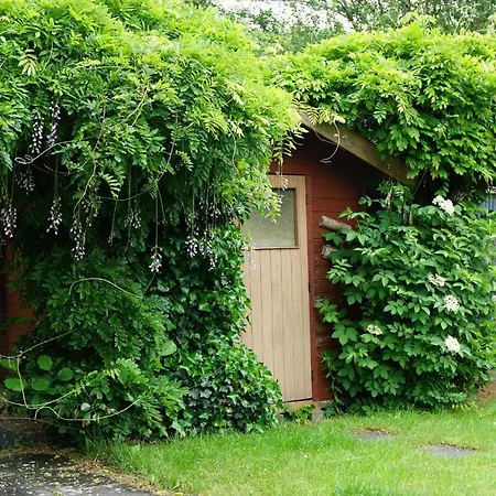 Ferienhaus-oase Holiday home